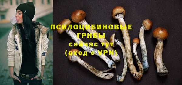 мяу мяу мука Баксан