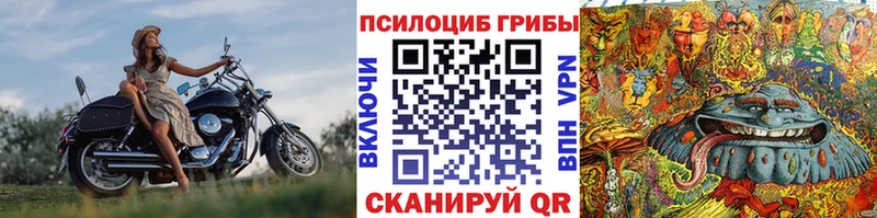 Галлюциногенные грибы мицелий  где купить   Лахденпохья 